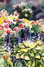 Florals