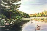 Loon Island