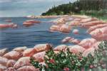 White Pines