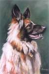 Loyal Sandi