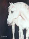 Mollie