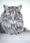 In Memory of Moedee