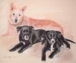 In Memory of Bailey