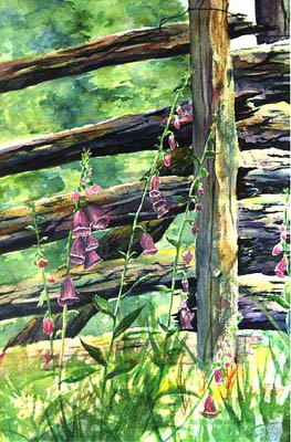 Country Fence
