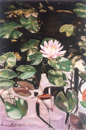 Waterlillies(award winner)