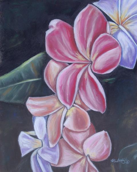 Plumerias
