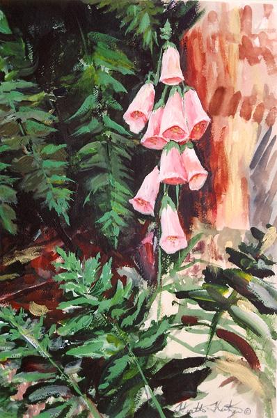 Foxgloves