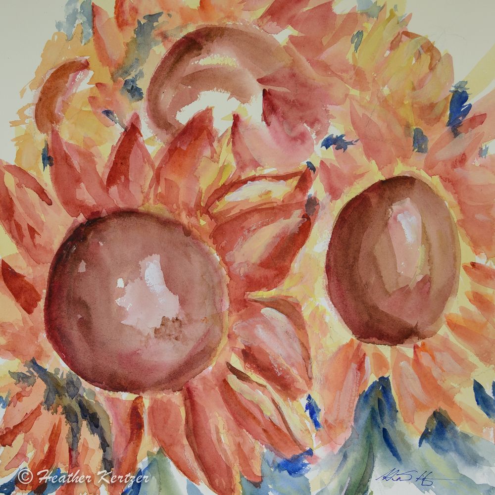 Exploding Suns