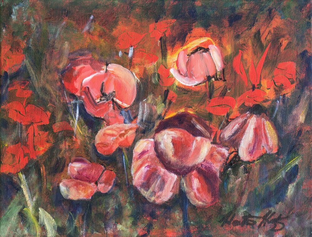 Poppies