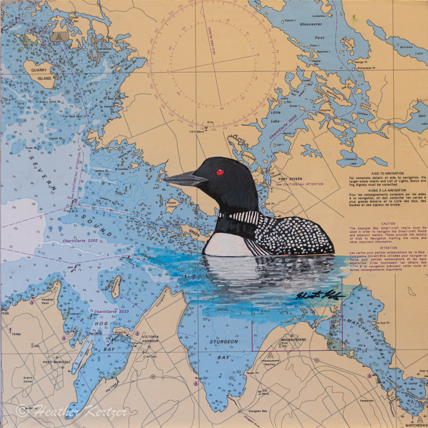 Call of the Loon