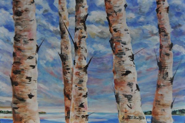 Birches by the Bay