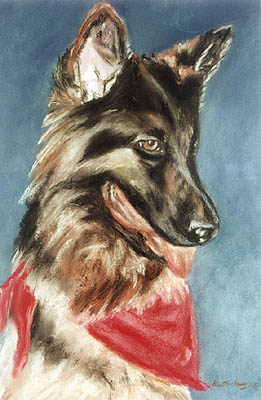 German Sheppard
