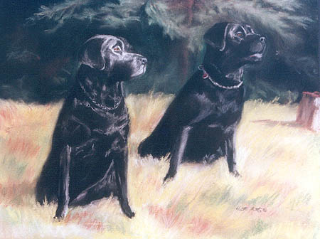 In Memory of Alex & Ebony