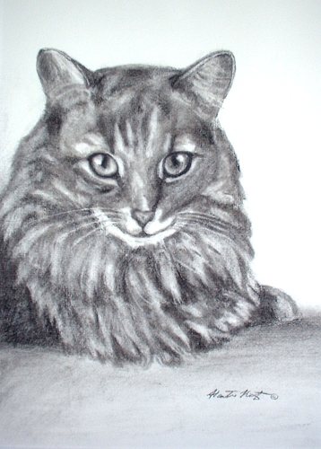 Tikka