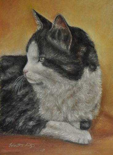 Tasha